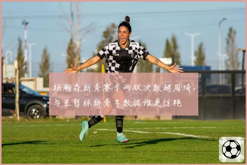杨瀚森新秀赛季两双次数超周琦，与王哲林新秀年数据谁更惊艳