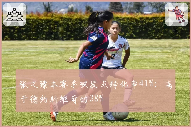 张之臻本赛季破发点转化率41%：高于德约科维奇的38%