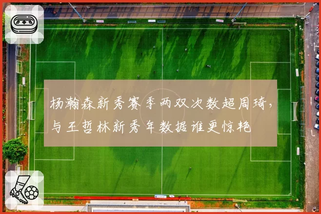 杨瀚森新秀赛季两双次数超周琦,与王哲林新秀年数据谁更惊艳