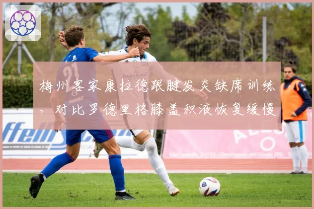 梅州客家康拉德跟腱发炎缺席训练，对比罗德里格膝盖积液恢复缓慢，锋线双外援同时伤停