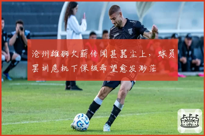 沧州雄狮欠薪传闻甚嚣尘上,球员罢训危机下保级希望愈发渺茫