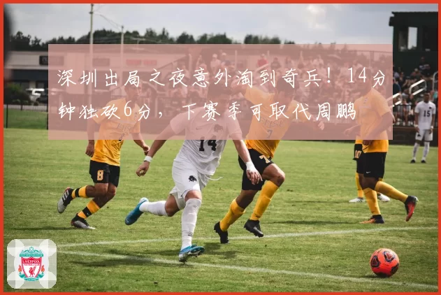 深圳出局之夜意外淘到奇兵!14分钟独砍6分,下赛季可取代周鹏