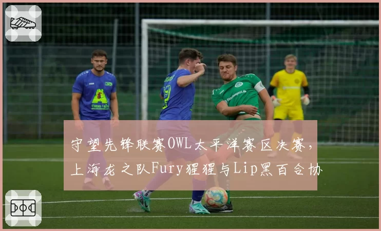守望先锋联赛OWL太平洋赛区决赛,上海龙之队Fury猩猩与Lip黑百合协同数据对阵达拉斯燃料队