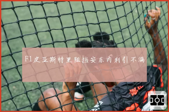 F1皮亚斯特里阻挡安东内利引不满