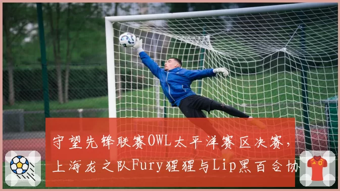 守望先锋联赛OWL太平洋赛区决赛,上海龙之队Fury猩猩与Lip黑百合协同数据对阵达拉斯燃料队